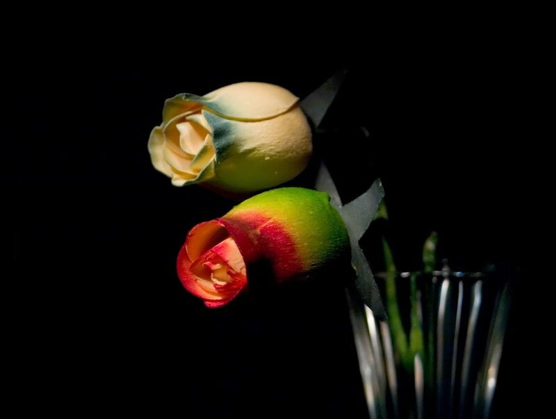 Two roses in a vase