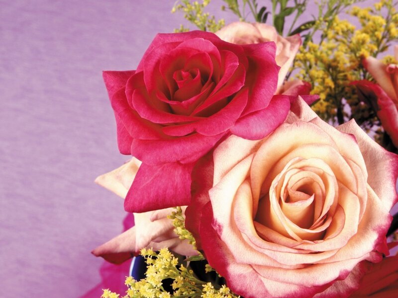 Two Roses in Bouquet