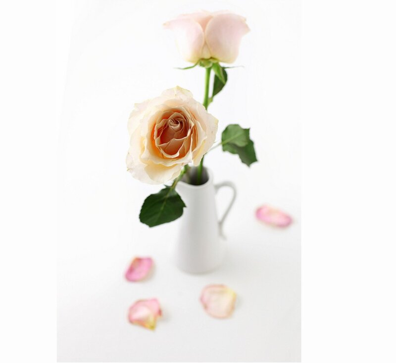 Two Roses in Vase — White