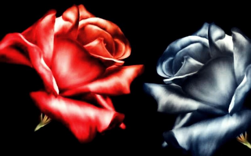 Two Roses on Black