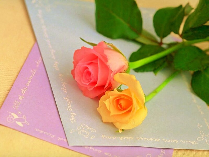 Two Roses on Cards
