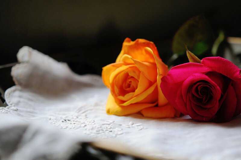 Two Roses on Cloth