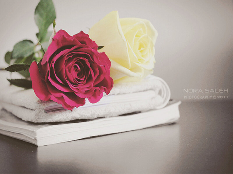 Two Roses on Towel