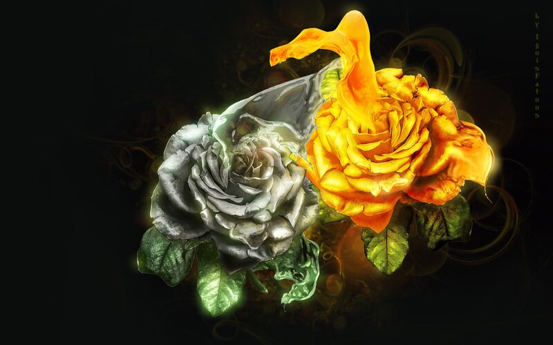 Two Roses Side by Side — Yellow, Dramatic, Digital Art