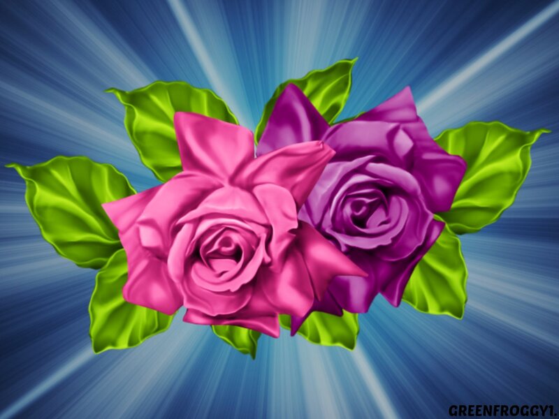 Two Roses with Leaves — Pink
