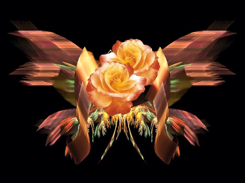 Two Roses with Wings