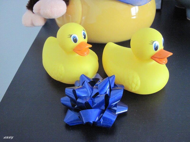 Two Rubber Ducks