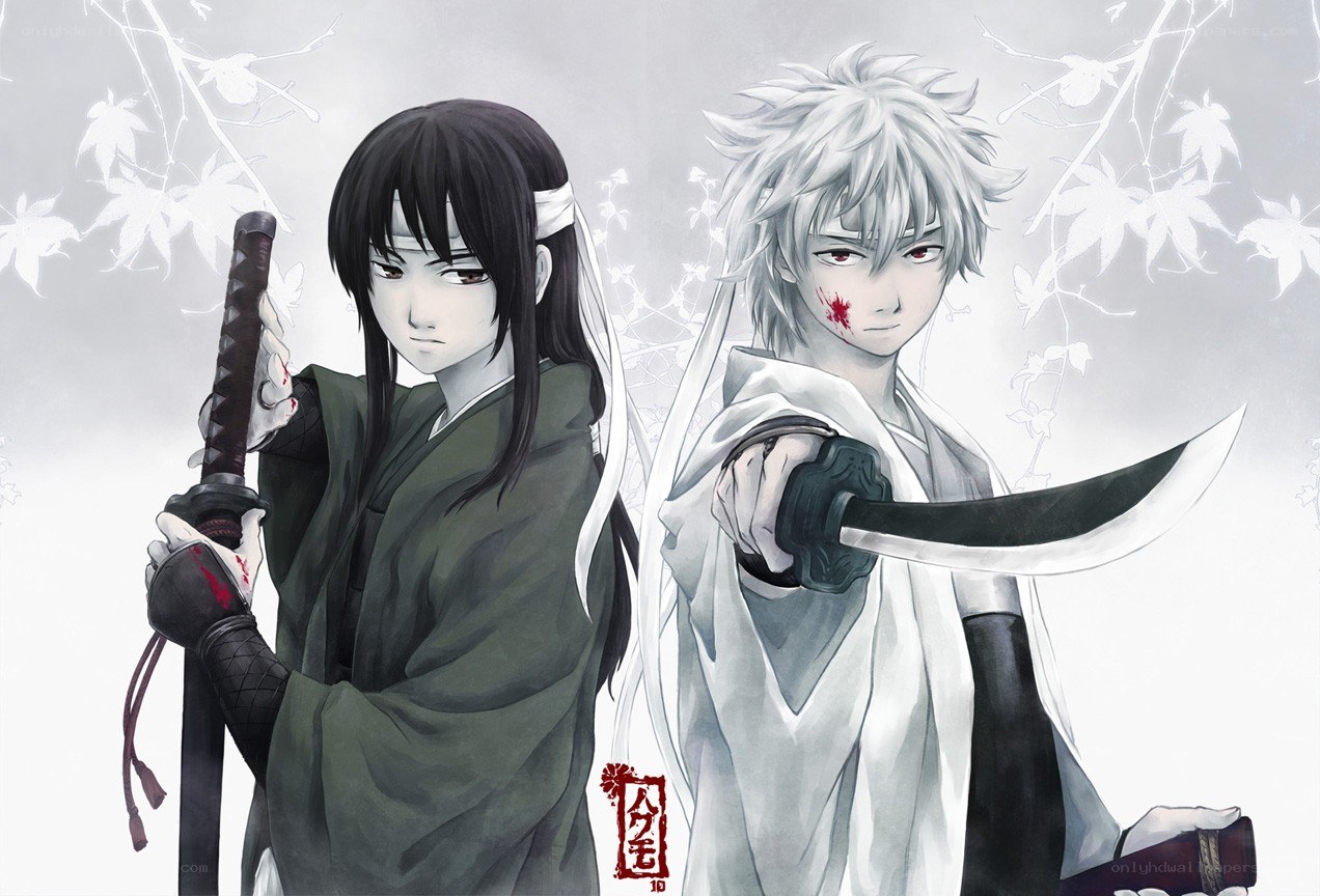 Two samurai warriors with swords