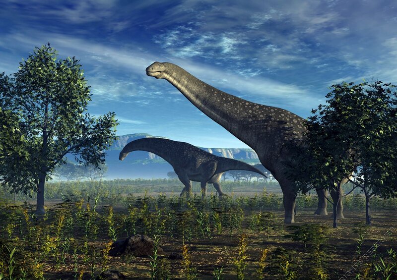 Two Sauropod Dinosaurs — Blue