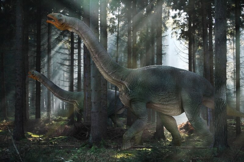 Two Sauropod Dinosaurs — Green, Serene