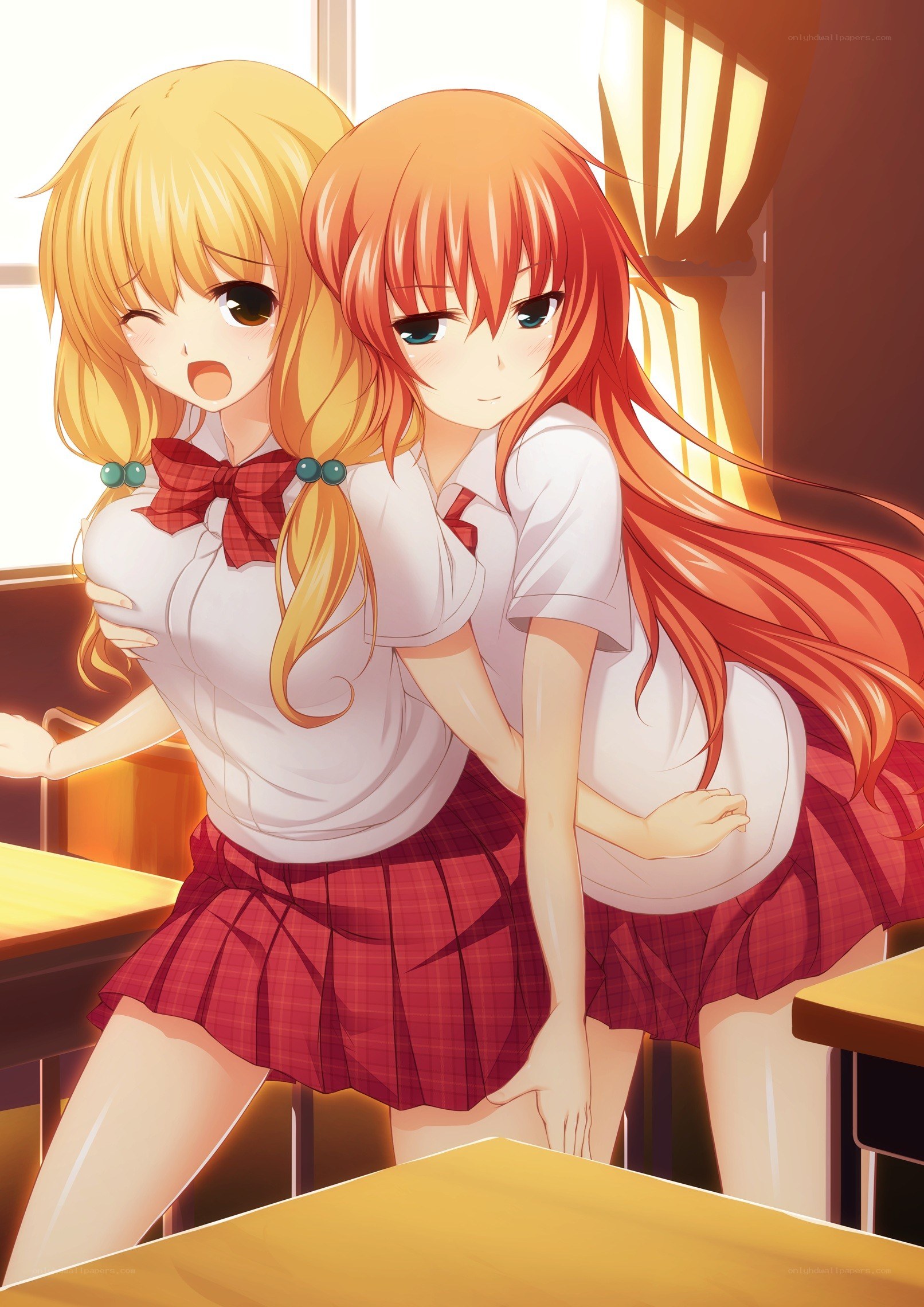 Two schoolgirls in classroom