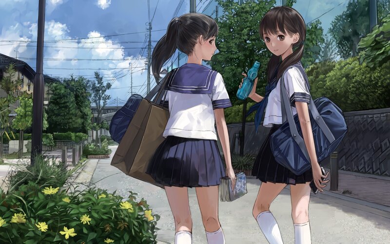 Two Schoolgirls Walking — Blue, Calm, Afternoon, Anime