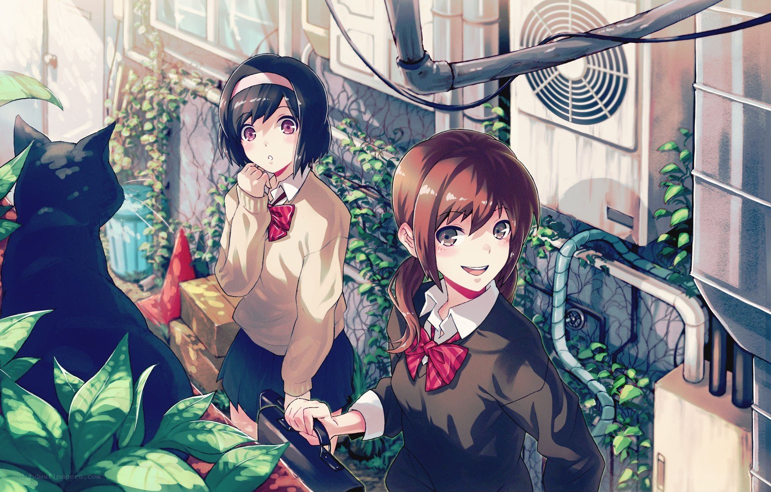 Two schoolgirls with a cat