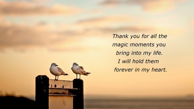 Two Seagulls on Post