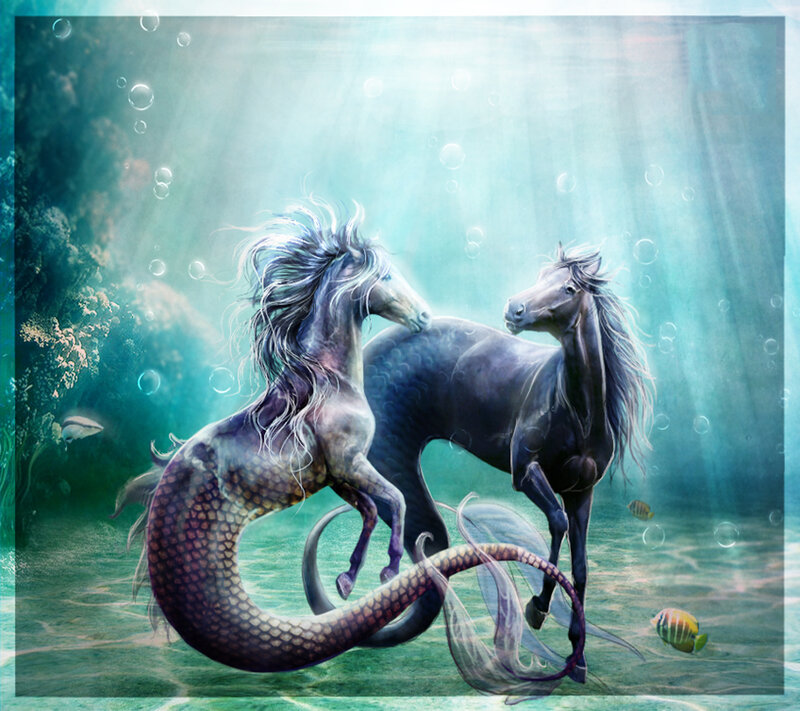 Two Seahorses Underwater