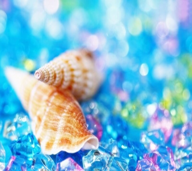 Two Seashells on Beads