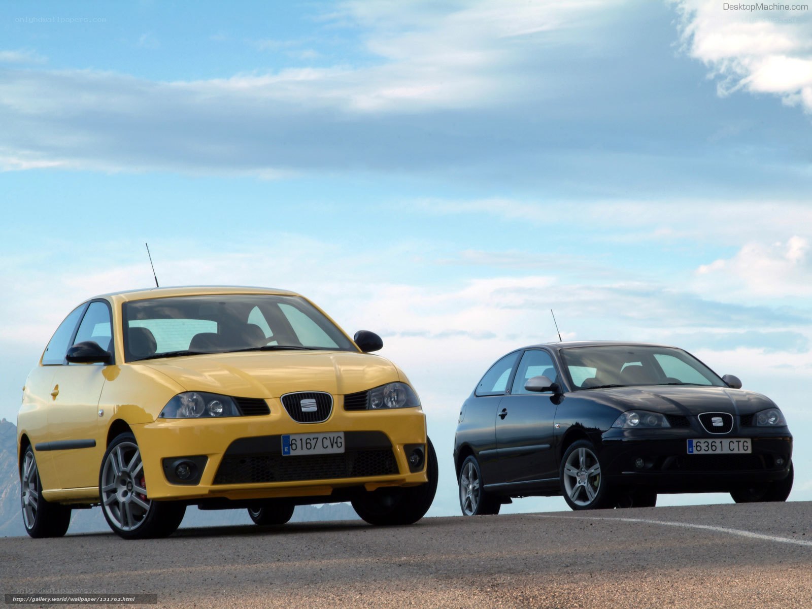 Two SEAT cars on a road