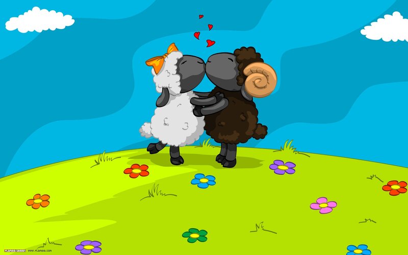 Two Sheep Kissing
