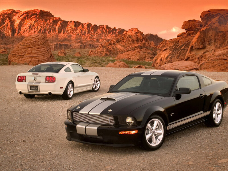Two Shelby GT Cars