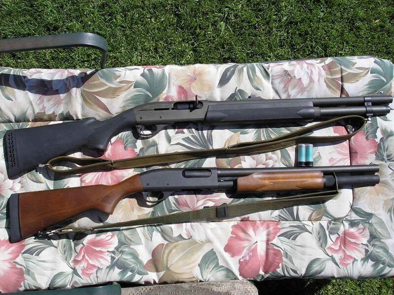 Two shotguns on a cushion