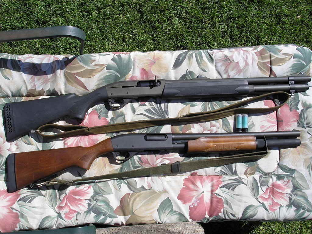 Two shotguns on a cushion