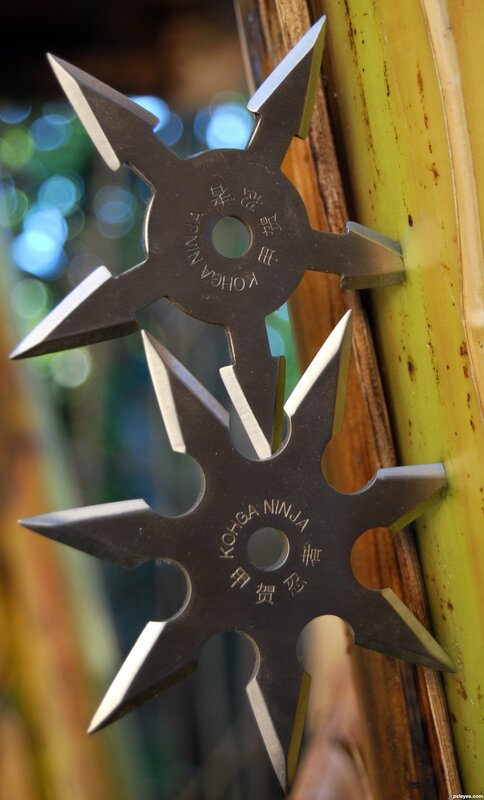 Two Shuriken on Bamboo