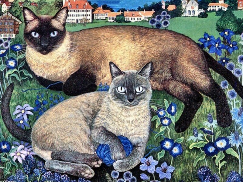 Two Siamese Cats — Blue, Serene
