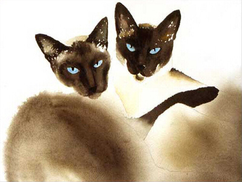 Two Siamese Cats — Brown, Calm, Painting