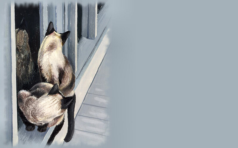 Two Siamese Cats — Gray