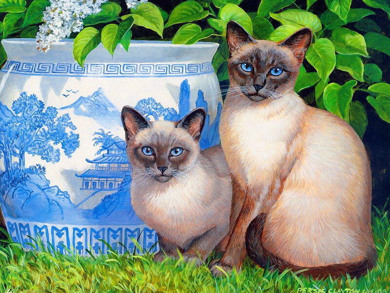 Two Siamese Cats — Green, Serene, Afternoon
