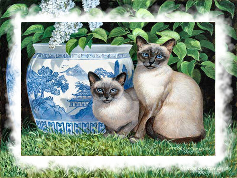 Two Siamese Cats — Green, Serene, Spring