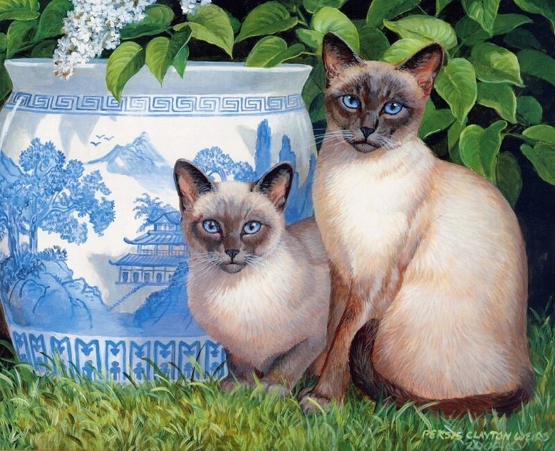 Two Siamese Cats — Green, Serene