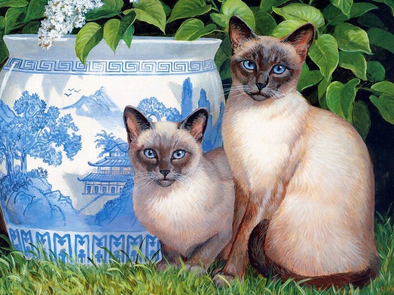 Two Siamese Cats — Green