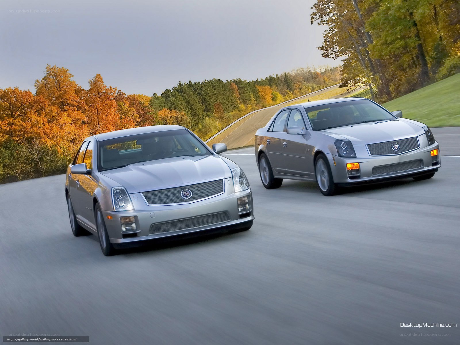 Two silver Cadillacs on a road
