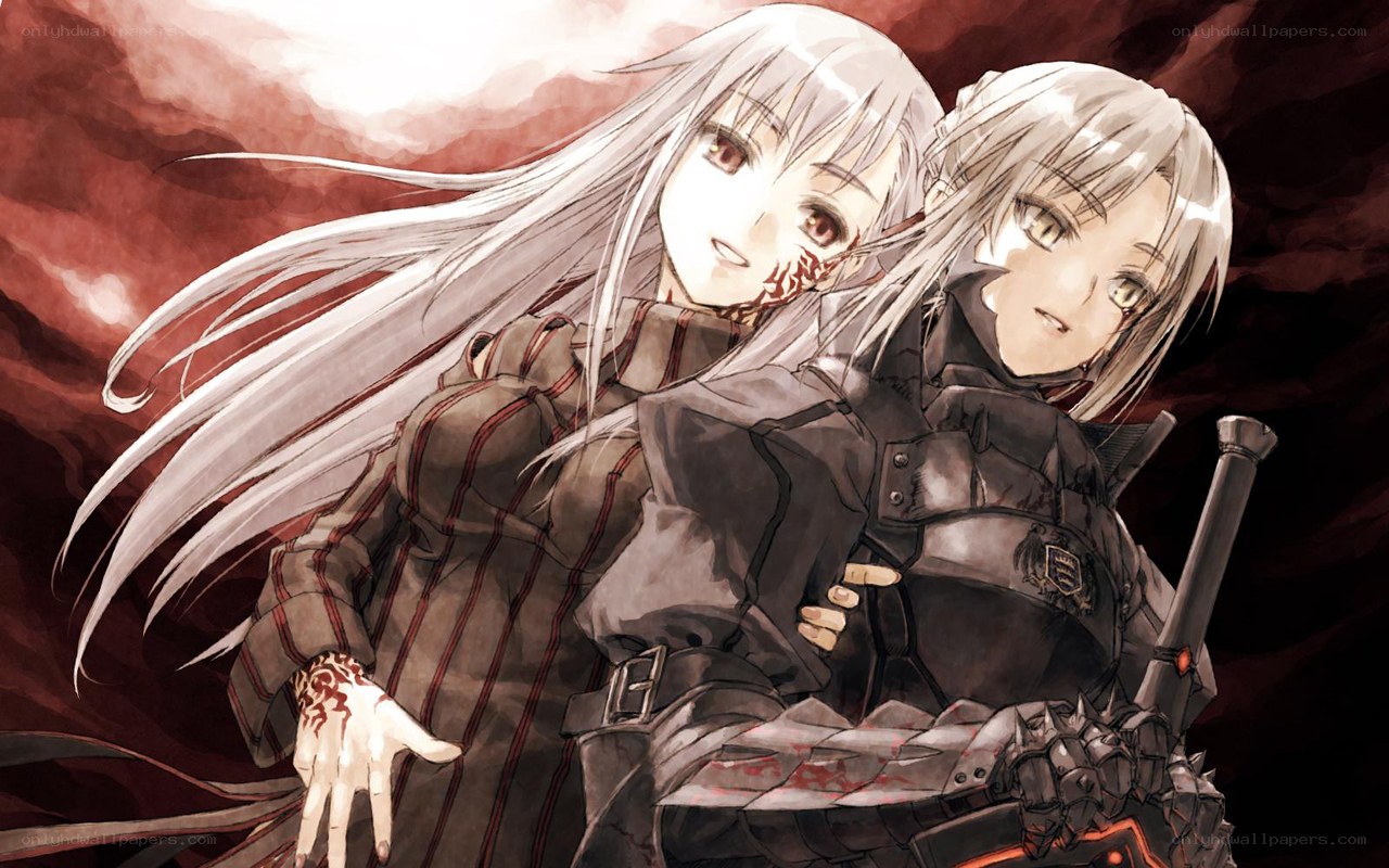 Two silver-haired warriors in battle