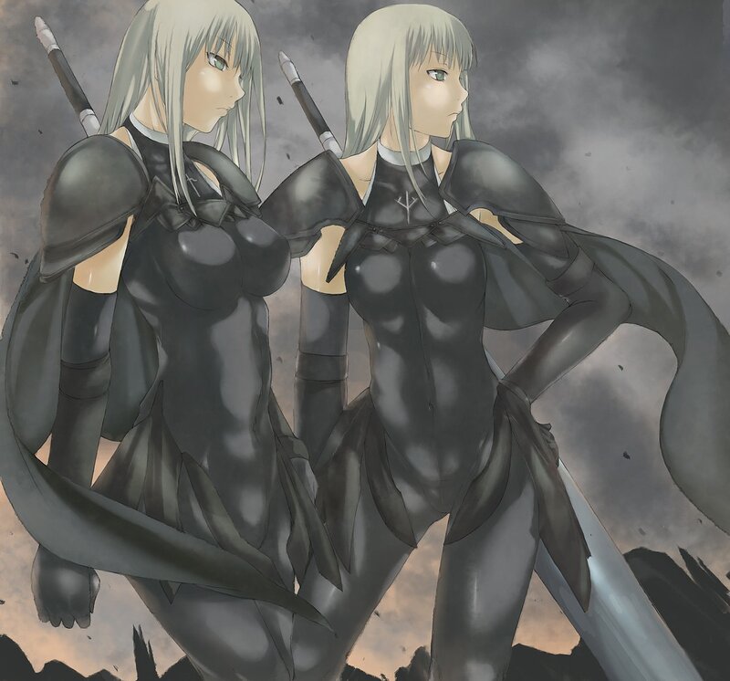 Two silver-haired warriors in dark armor