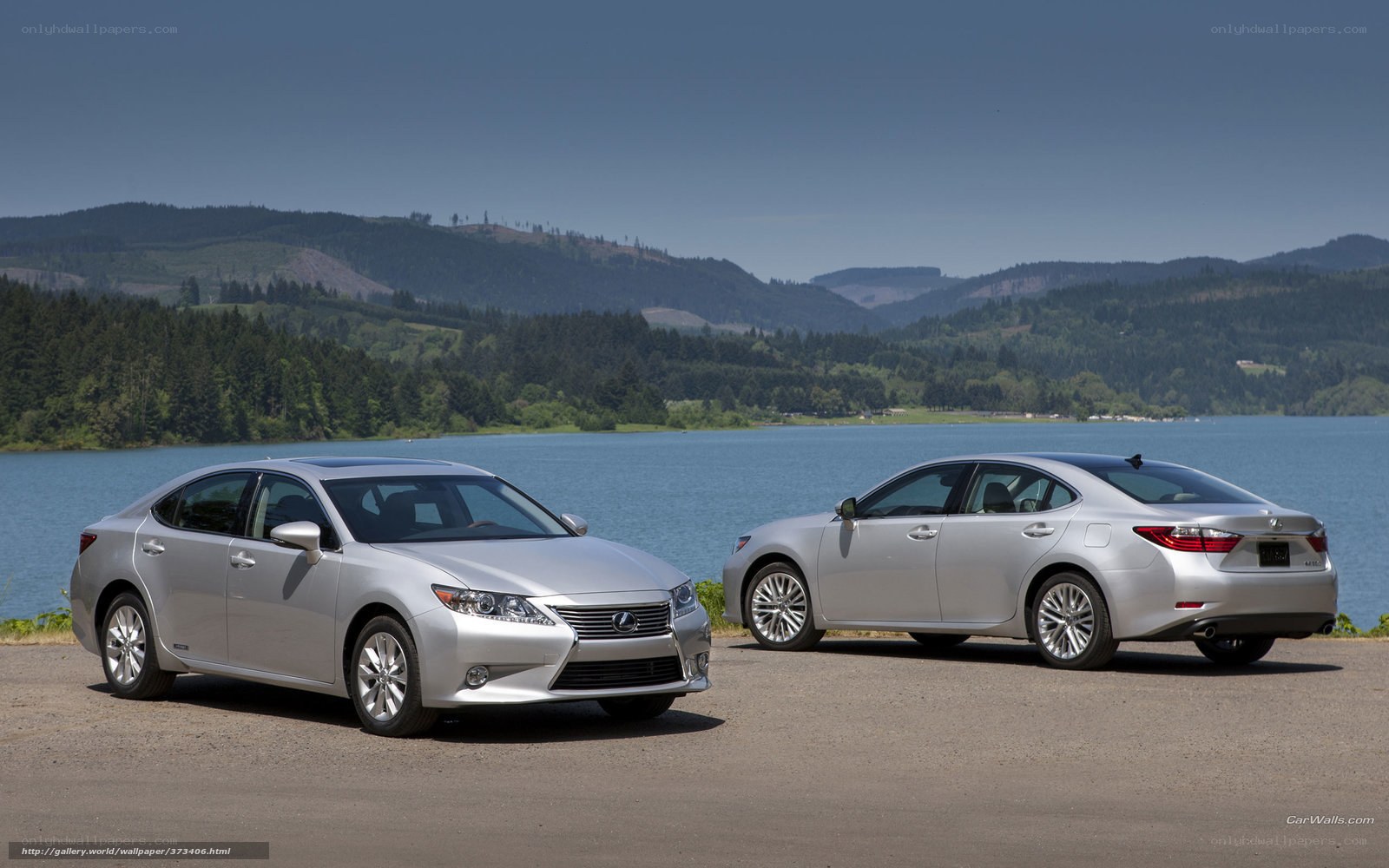 Two silver Lexus cars by a lake