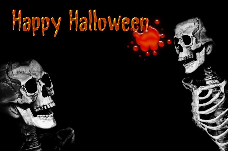 Two Skeletons Facing Each Other