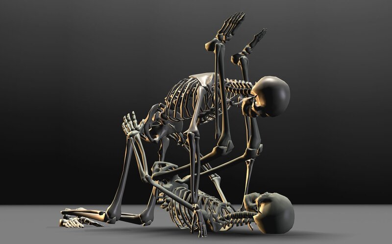 Two Skeletons in Embrace