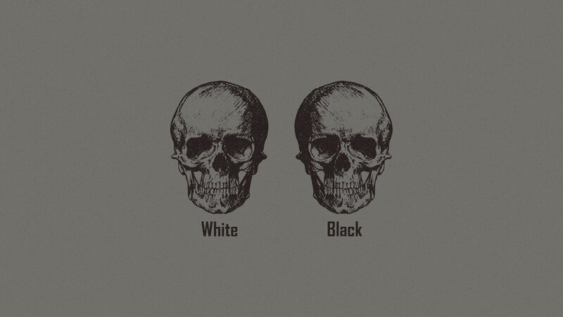 Two Skull Illustrations