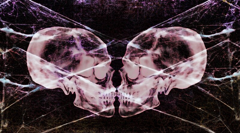 Two Skulls in Mirror