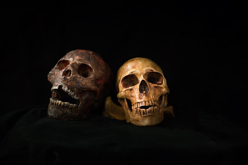 Two Skulls on Black Cloth