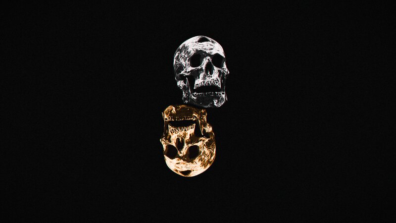 Two Skulls on Black
