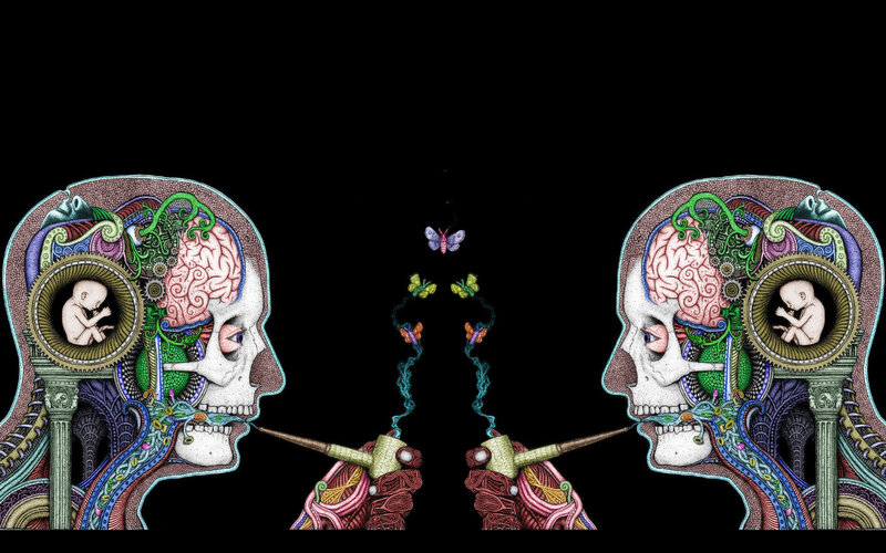 two skulls with brains and babies