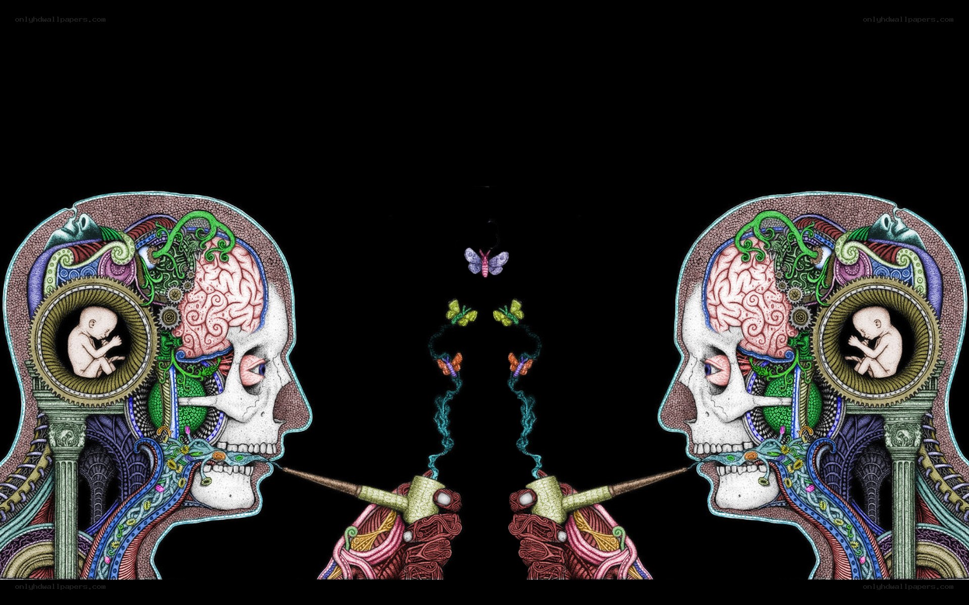 two skulls with brains and babies