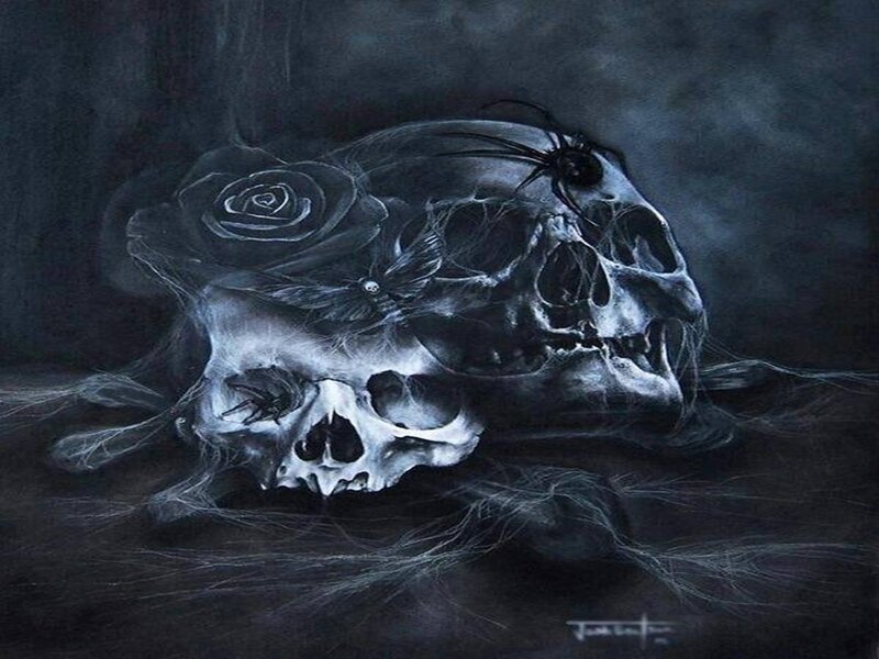 Two Skulls with Rose