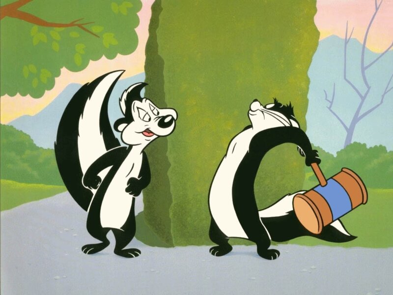 Two Skunks in Forest — Green