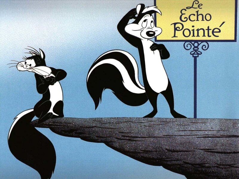 Two Skunks on a Log