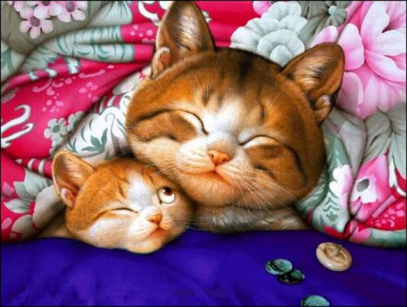 Two Sleeping Cats — Pink