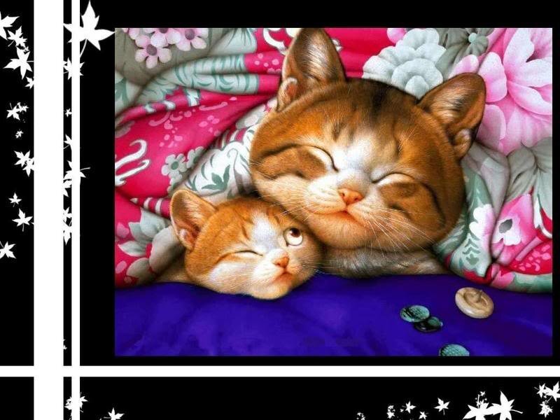 Two Sleeping Cats
